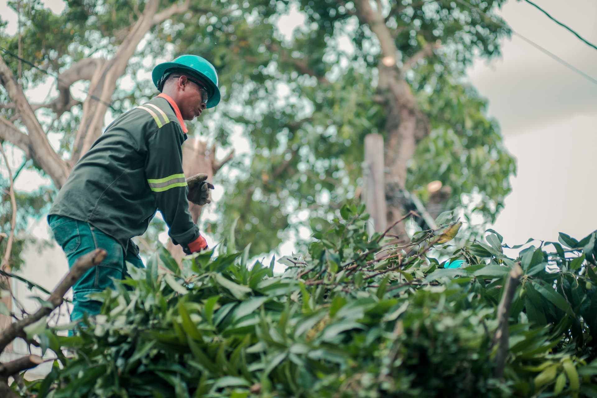 Canalizaciones y montaje